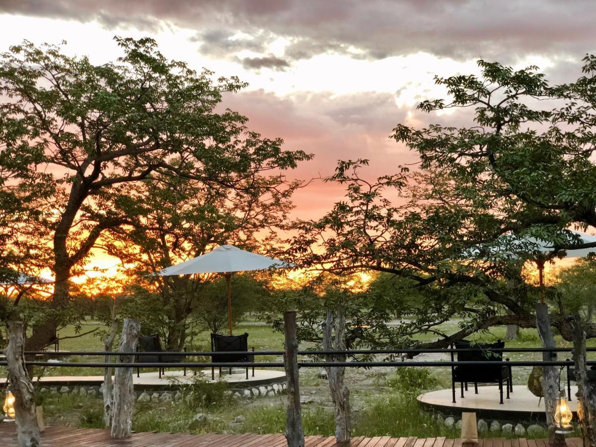 Etosha Oberland Lodge オカウクエジョ エクステリア 写真