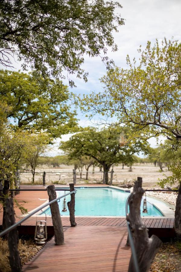 Etosha Oberland Lodge オカウクエジョ エクステリア 写真